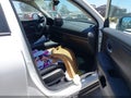 2026 Honda HR-V — photo 5 of 16 | VIN 3CZRZ1H36TM726183