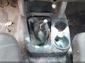 2010 Toyota Tacoma — photo 17 of 17 | VIN 5TENX4CN7AZ710689