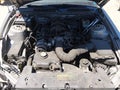 2008 Ford Mustang — photo 10 of 12 | VIN 1ZVHT84N585178979