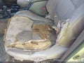 Photo 6 of 12 — 1998 Toyota 4Runner