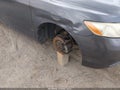 Photo 16 of 16 — 2007 Toyota Camry