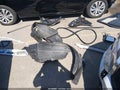 2020 Subaru Impreza — photo 19 of 21 | VIN 4S3GTAB68L3732263
