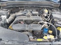 Photo 10 of 16 — 2017 Subaru Forester