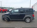 2003 Honda Element — photo 14 of 16 | VIN 5J6YH28563L018684