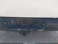2008 Dodge Ram 1500 — photo 13 of 13 | VIN 1D7HA18N58S570815