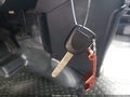 Photo 11 of 12 — 2003 Honda Element