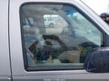 1993 Ford Econoline — photo 5 of 13 | VIN 1FDEE14H1PHA49731
