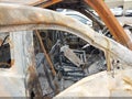 2006 Dodge Dakota — photo 5 of 11 | VIN 1D7HW42N16S583568