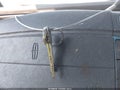 1991 Lincoln Town Car — photo 11 of 11 | VIN 1LNCM81W1MY737133