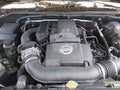 Photo 10 of 12 — 2005 Nissan Xterra