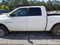 2010 Dodge Ram 1500 — photo 14 of 18 | VIN 1D7RV1CT1AS207660