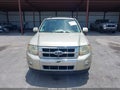 Photo 6 of 11 — 2010 Ford Escape