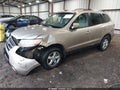 2007 Hyundai Santa Fe — photo 2 of 16 | VIN 5NMSG13D67H074381