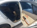 Photo 8 of 11 — 2008 Honda Accord