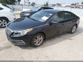 2016 Hyundai Sonata — photo 2 of 12 | VIN 5NPE24AF7GH300996