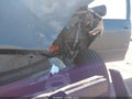 2010 Toyota Sienna — photo 14 of 19 | VIN 5TDKK4CC9AS338866
