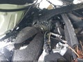 2025 Jeep Grand Cherokee — photo 10 of 16 | VIN 1C4RJHAG4SC343829