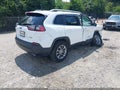 2021 Jeep Cherokee — photo 4 of 21 | VIN 1C4PJMMX0MD101208