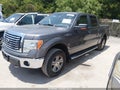 2010 Ford F-150 — photo 2 of 16 | VIN 1FTFW1EV2AFB55229