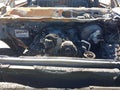 2011 Ram Ram 1500 — photo 10 of 15 | VIN 1D7RB1GT3BS533397