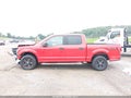 2015 Ford F-150 — photo 14 of 16 | VIN 1FTEW1EF4FFB13706