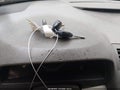 Photo 11 of 11 — 2010 Toyota Camry