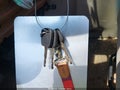 2002 Ford E-350 — photo 11 of 11 | VIN 1FBSS31L92HB40358