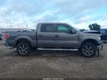 2014 Ford F-150 — photo 14 of 17 | VIN 1FTFW1EF6EKD65760