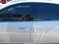 2025 Kia K4 — photo 14 of 16 | VIN 3KPFW4DE4SE051811