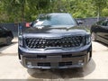 2025 Kia Telluride — photo 13 of 18 | VIN 5XYP5DGCXSG585884