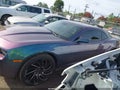 2010 Chevrolet Camaro — photo 14 of 16 | VIN 2G1FC1EV2A9108213