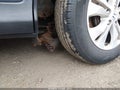 2012 Honda CR-V — photo 6 of 16 | VIN 5J6RM4H71CL075727