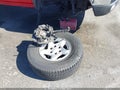 2004 Toyota Tacoma — photo 12 of 17 | VIN 5TEGN92N04Z455613
