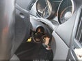 2012 Hyundai Sonata — photo 6 of 16 | VIN 5NPEB4AC6CH319572
