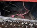 2001 Freightliner Medium Conventional — photo 14 of 14 | VIN 1FV6HJAA01HH14382