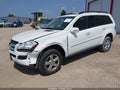 2008 Mercedes-Benz GL-Class — photo 2 of 20 | VIN 4JGBF71E08A410163
