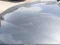 2020 Hyundai Elantra — photo 18 of 19 | VIN 5NPD84LF4LH584492