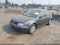 2004 Volkswagen Golf — photo 2 of 16 | VIN 9BWGL61J044024884