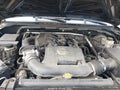 Photo 10 of 12 — 2006 Nissan Xterra