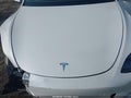 2024 Tesla Model Y — photo 10 of 17 | VIN 7SAYGAEE7RF204594