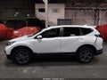 2020 Honda CR-V — photo 14 of 17 | VIN 2HKRW2H80LH690187