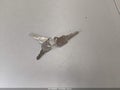 1974 Chevrolet Corvette — photo 11 of 16 | VIN 1Z37L63404628
