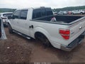 2010 Ford F-150 — photo 3 of 16 | VIN 1FTFW1EV4AFB24094