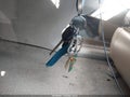 2002 Toyota Highlander — photo 11 of 17 | VIN JTEHF21A120056323