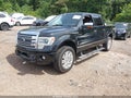 2013 Ford F-150 — photo 2 of 17 | VIN 1FTFW1EF0DFC09995
