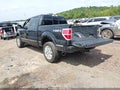 2013 Ford F-150 — photo 3 of 17 | VIN 1FTFW1EF0DFC09995