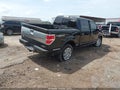 2013 Ford F-150 — photo 4 of 17 | VIN 1FTFW1EF0DFC09995