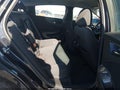 2023 Chevrolet Malibu — photo 8 of 16 | VIN 1G1ZD5ST5PF166644