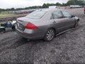 2007 Honda Accord — photo 4 of 17 | VIN 1HGCM66517A094211