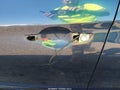 2018 Hyundai Elantra — photo 11 of 11 | VIN 5NPD74LF1JH383942